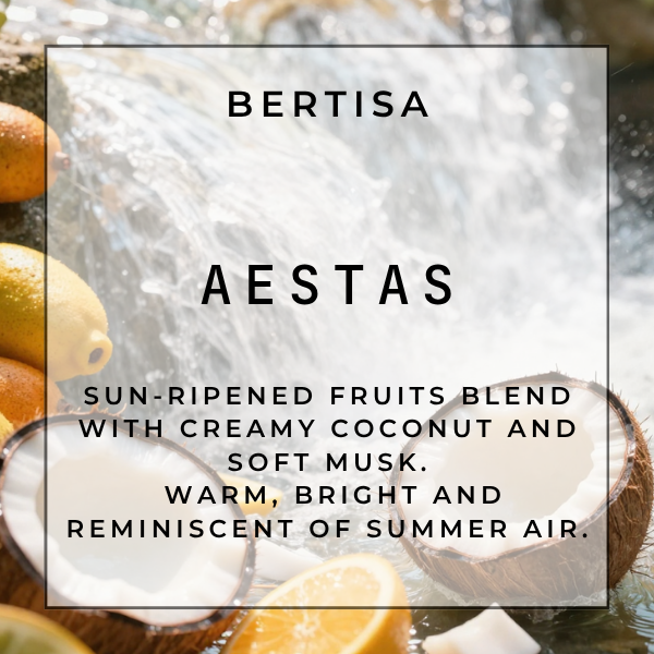 AESTAS Carpet Purifier | The Cleanse
