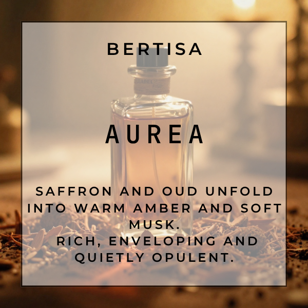 AUREA Vacuum Diffuser Discs | The Diffusion