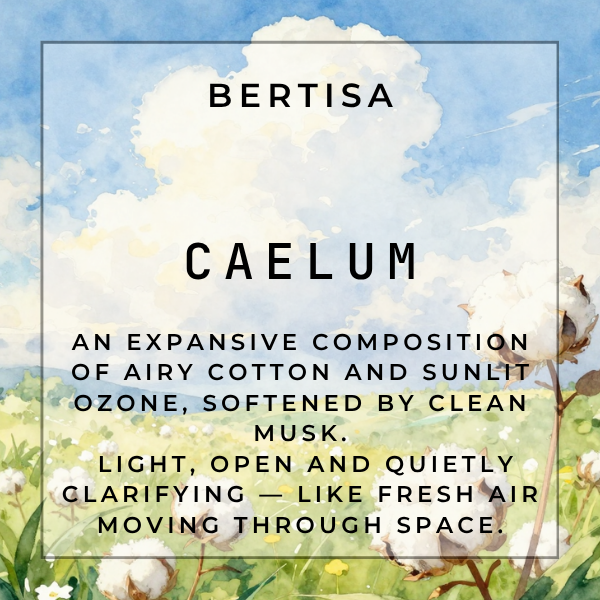 CAELUM Carpet Purifier | The Cleanse