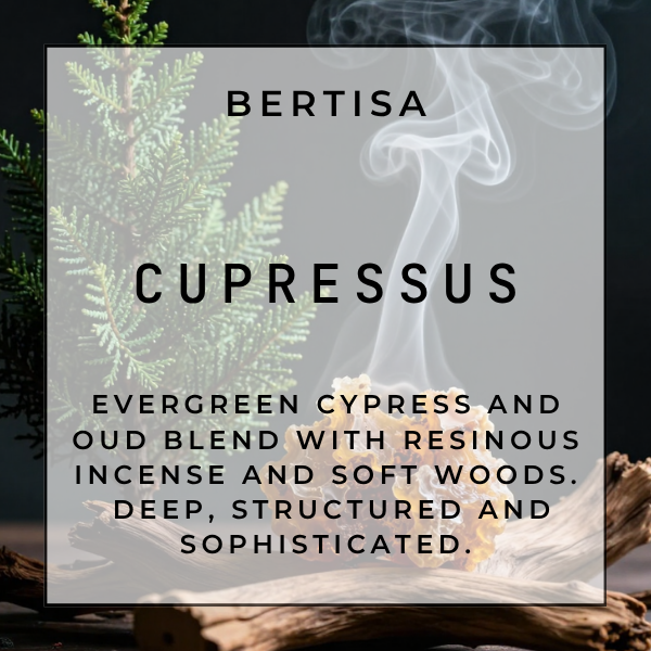 CUPRESSUS Vacuum Diffuser Discs | The Diffusion