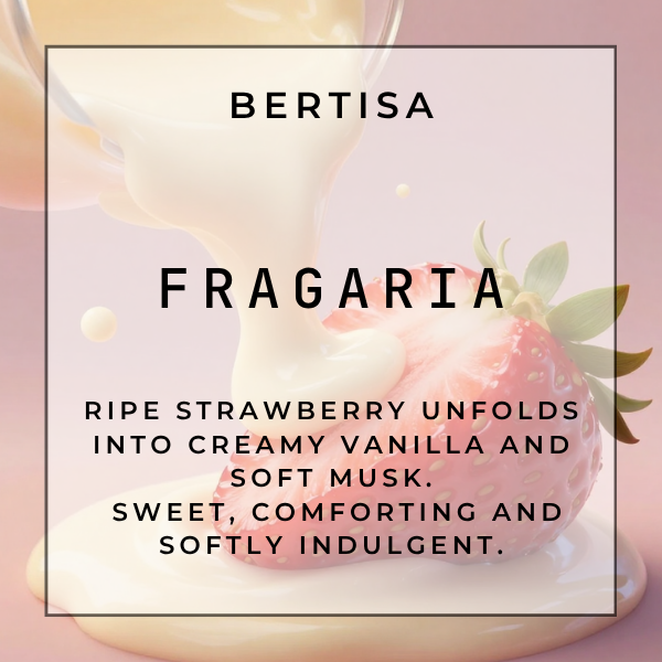 FRAGARIA Vacuum Diffuser Discs | The Diffusion