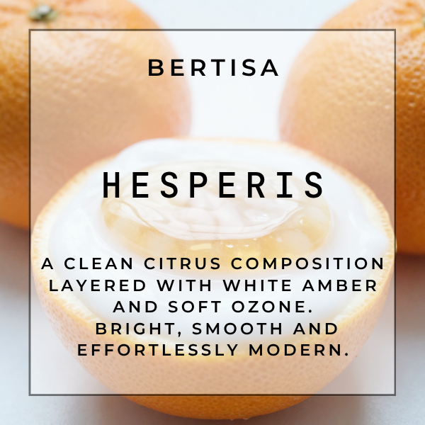 HESPERIS Vacuum Diffuser Discs | The Diffusion