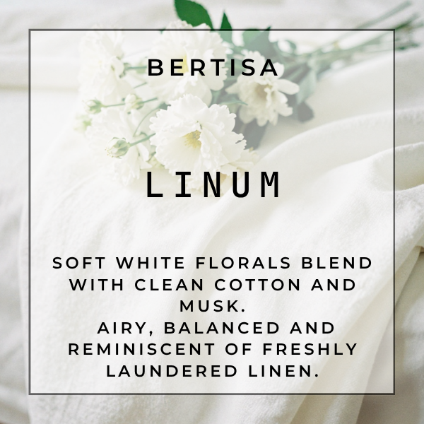LINUM — Mop Fizz & Freshen Tablets | THE SURFACE RESET