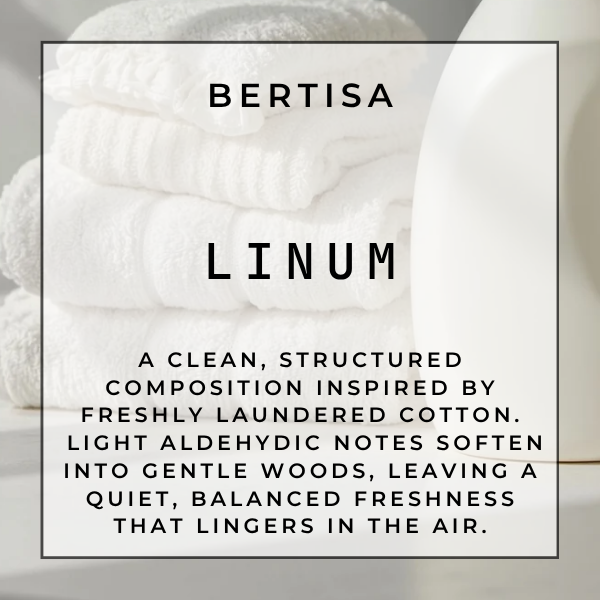 LINUM Vacuum Diffuser Discs | The Diffusion