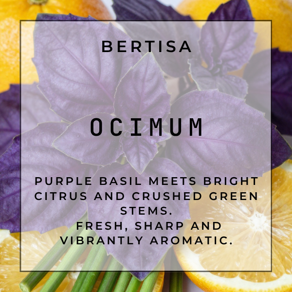 OCIMUM Vacuum Diffuser Discs | The Diffusion