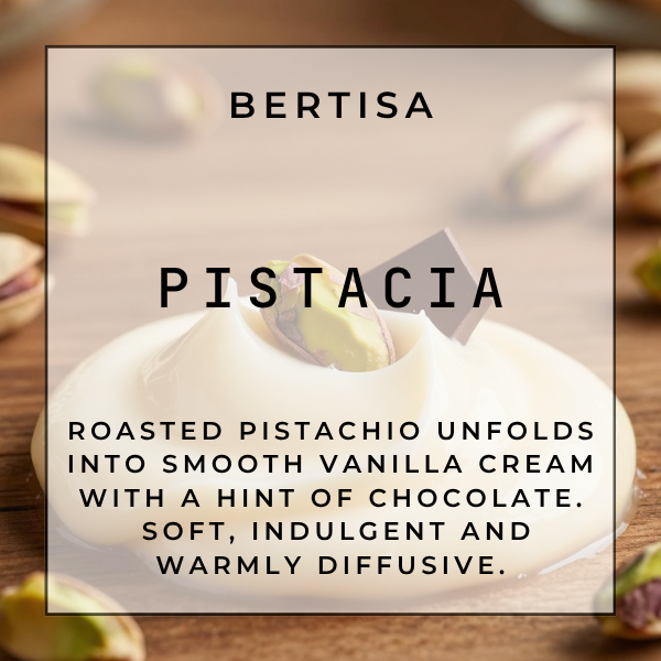 PISTACIA Vacuum Diffuser Discs | The Diffusion