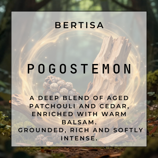 POGOSTEMON  Vacuum Diffuser Discs | The Diffusion