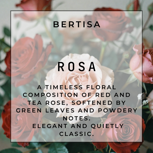 ROSA Vacuum Diffuser Discs | The Diffusion