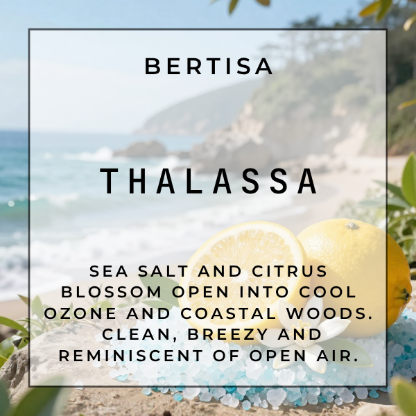 THALASSA Vacuum Diffuser Discs | The Diffusion