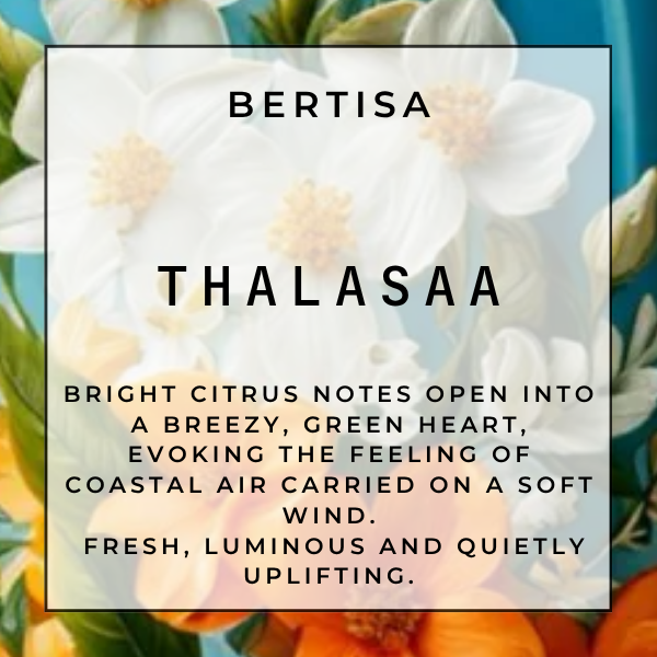 THALASSA— Mop Fizz & Freshen Tablets | THE SURFACE RESET