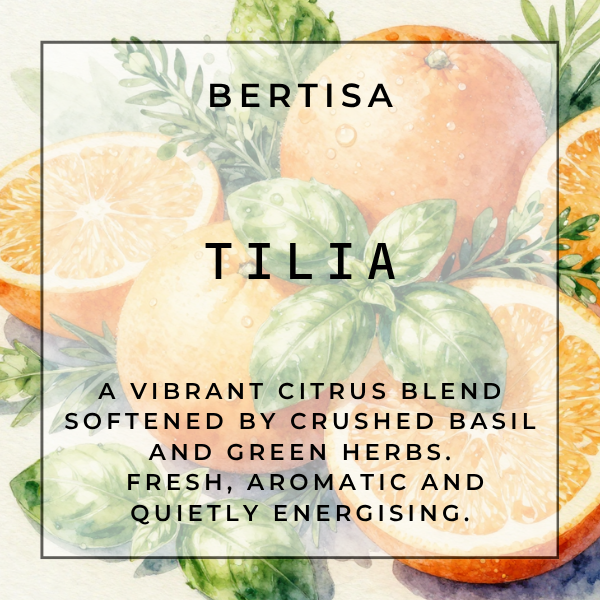 TILIA Vacuum Diffuser Discs | The Diffusion