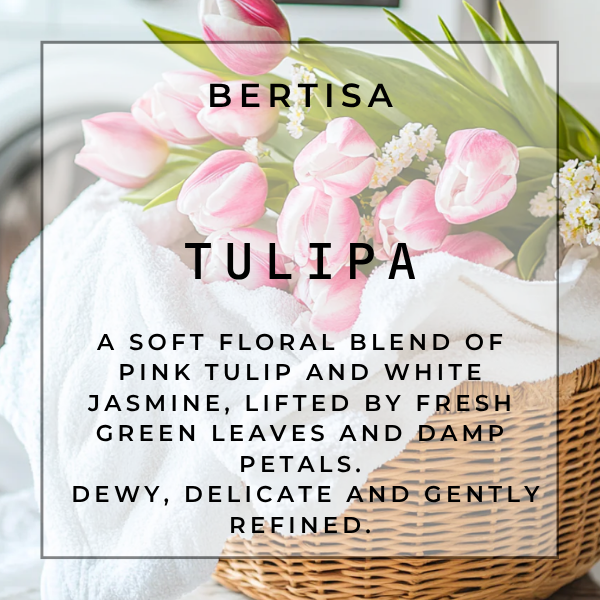 TULIPA Carpet Purifier | The Cleanse