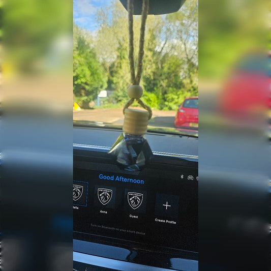 Hanging Car Air Freshener Diffusers